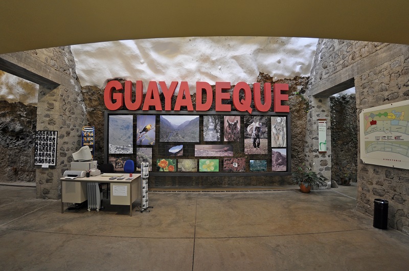 Guayadeque