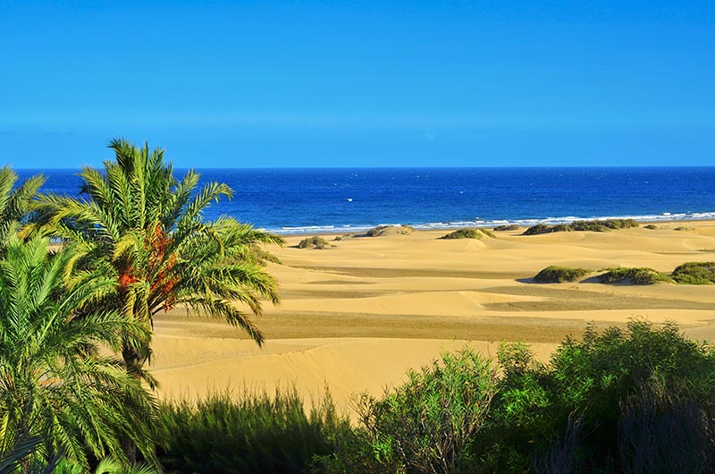 Dunas de Maspalomas