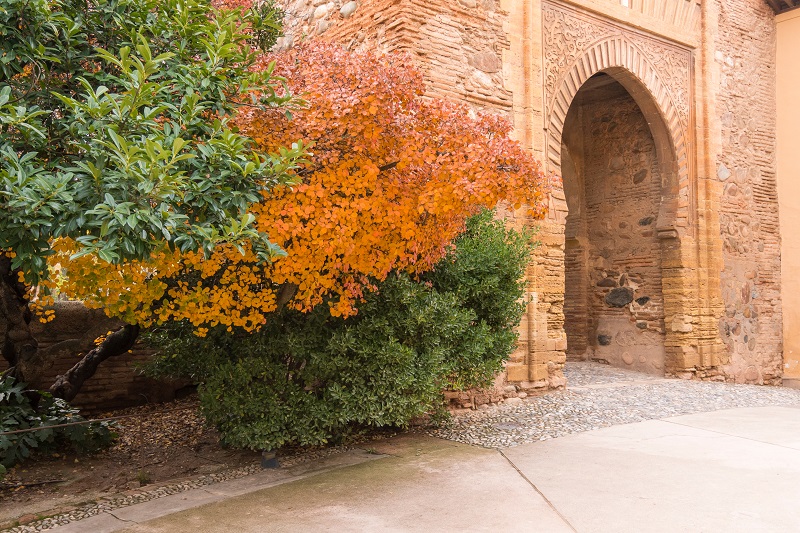 Otoño Alhambra