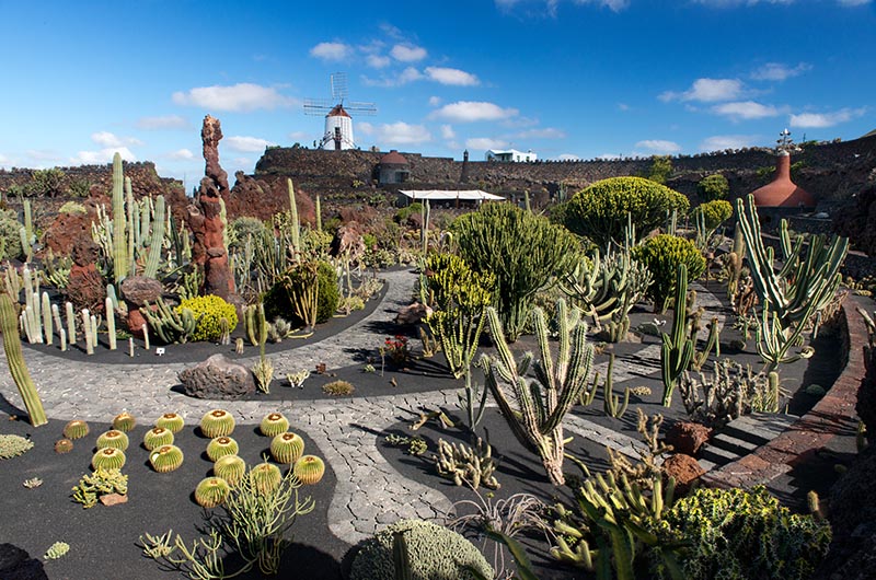 Jardín de Cactus