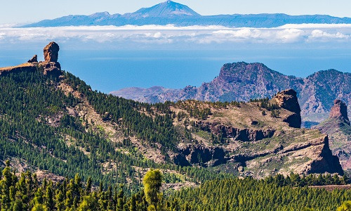 Wycieczki Gran Canaria