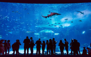 Acuario Poema del Mar