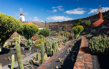 Jardín de cactus - Norte de Lanzarote