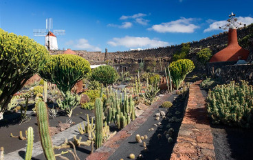 Ogród kaktusów - na północ od Lanzarote