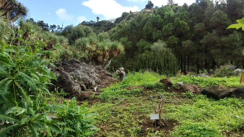 Jardin des Canaries