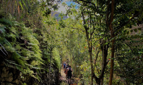 Wędrówka przez wąwóz Barranco de los Cernícalos.