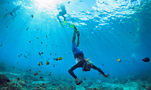 Snorkelling and private boat in Puerto Mogan