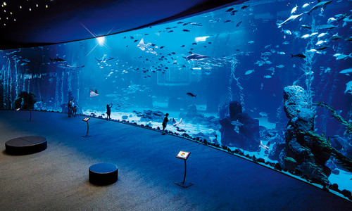 Aquarium Poema del Mar